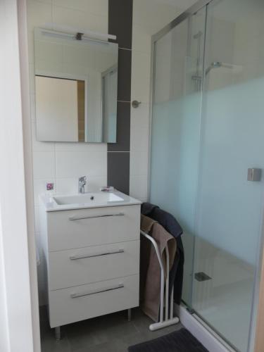 a bathroom with a sink and a shower at Les gîtes de Camarel in La Plaine