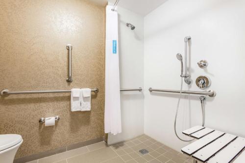 La salle de bains est pourvue d'une douche et de toilettes. dans l'établissement Hampton Inn Manhattan Grand Central, à New York