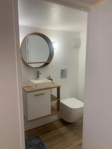 a bathroom with a white toilet and a mirror at Studio Calme aux terrasses de Cassis in Cassis