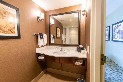 baño con lavabo y espejo grande en Hilton Garden Inn Ogden en Ogden