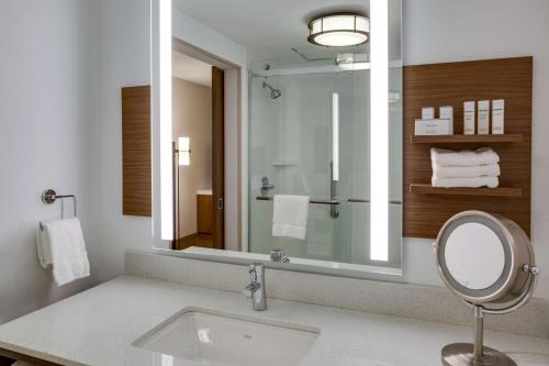 a bathroom with a sink and a large mirror at Hilton Garden Inn Oklahoma City Airport in Oklahoma City