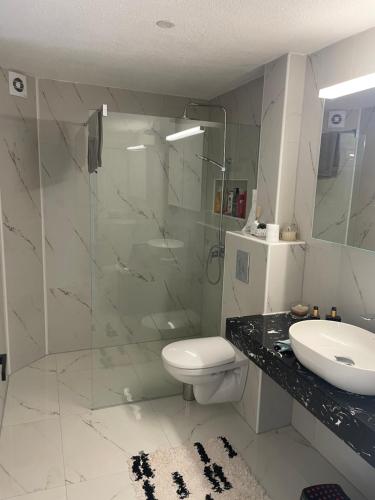a bathroom with a shower and a toilet and a sink at Apartment Ajdarpasic in Bar
