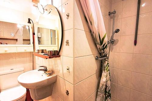 uma pequena casa de banho com um lavatório e um chuveiro em Haven of peace near the beaches in Saint-Malo em Saint Malo