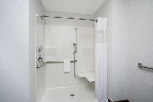 a bathroom with a shower with a shower curtain at Hampton Inn Bellevue in Bellevue
