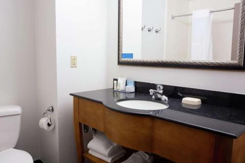 a bathroom with a sink and a mirror and a toilet at Hampton Inn & Suites Chesapeake-Square Mall in Chesapeake