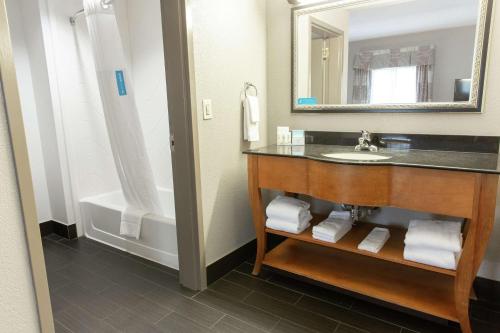 a bathroom with a sink and a bath tub at Hampton Inn & Suites Chesapeake-Square Mall in Chesapeake
