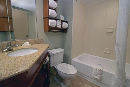a bathroom with a sink and a toilet and a tub at Hampton Inn Norfolk/Chesapeake - Greenbrier Area in Chesapeake