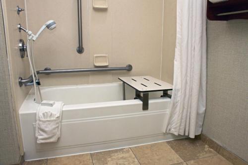 a bathroom with a bath tub with a shower curtain at Hampton Inn Norfolk/Chesapeake - Greenbrier Area in Chesapeake