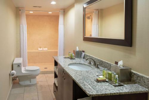 a bathroom with a sink and a toilet and a mirror at DoubleTree by Hilton Norfolk Airport in Norfolk