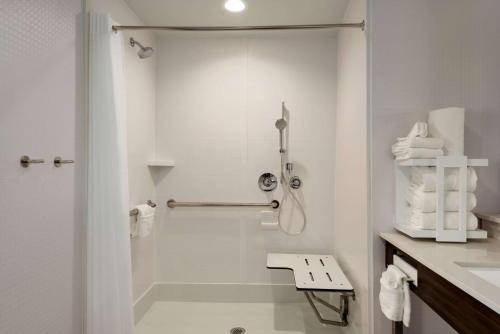 Hampton Inn & Suites Norman-Conference Center Area, Ok في نورمان: حمام أبيض مع دش ومغسلة