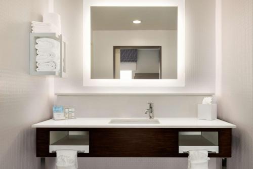 a bathroom with a sink and a mirror at Hampton Inn & Suites Norman-Conference Center Area, Ok in Norman