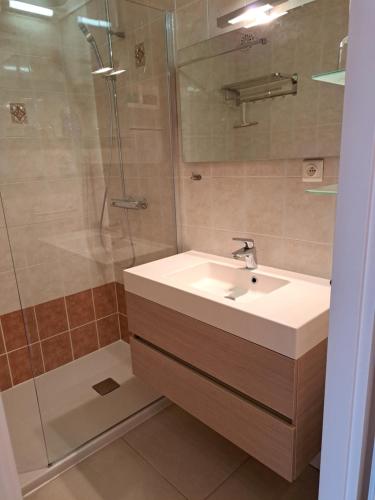 La salle de bains est pourvue d'un lavabo et d'une douche. dans l'établissement App KLIF De Panne - top location & sea front !!, à La Panne