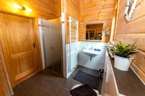 a bathroom with a sink and a shower and a toilet at 5 Sterne Ferienhaus Susi mit Kamin, Seeblick und 2 Terrassen in Rieden