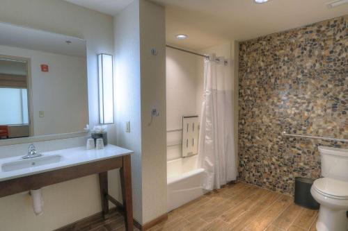 a bathroom with a sink and a toilet and a shower at Hilton Garden Inn Pigeon Forge in Pigeon Forge