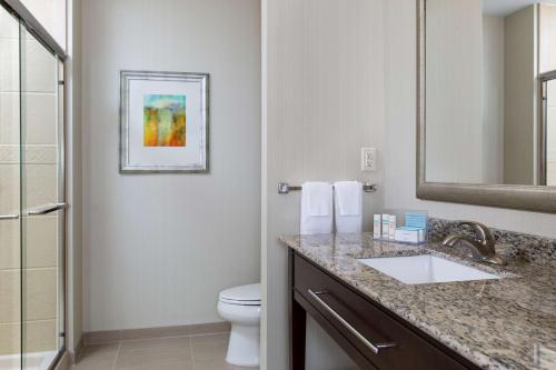 a bathroom with a sink and a toilet and a mirror at Hampton Inn & Suites Philadelphia Montgomeryville in North Wales