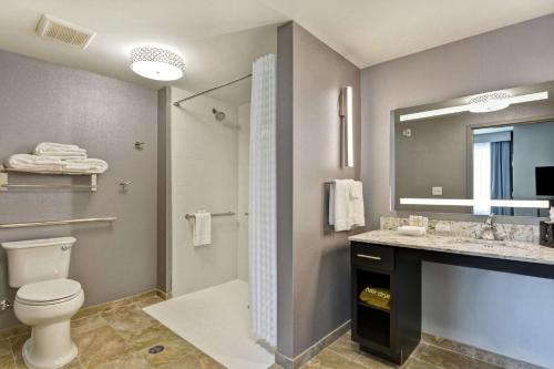 a bathroom with a toilet and a sink and a mirror at Homewood Suites By Hilton Poughkeepsie in Poughkeepsie