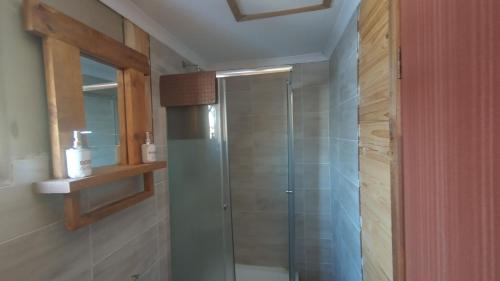 a shower with a glass door in a bathroom at The CabinGuesthouse in Gaborone