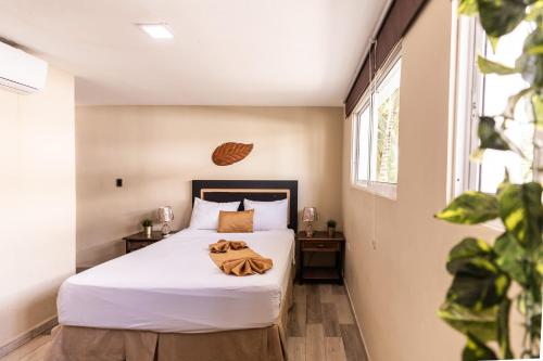 a bedroom with a bed and a window at Hotel Las Rosas de Punta Cana in Punta Cana