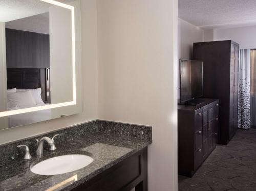 a bathroom with a sink and a mirror at Embassy Suites by Hilton Raleigh Crabtree in Raleigh