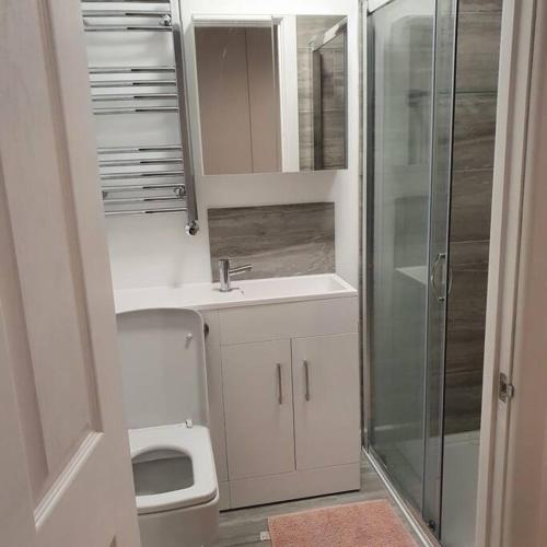 a bathroom with a shower and a sink and a toilet at 2 bedroom house with lovely garden and views in Brighton & Hove