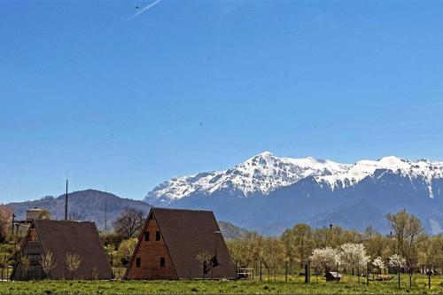 a barn in a field with snowy mountains in the background at Cabana JagerBerg Rosenau in Râşnov