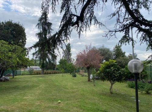 Κήπος έξω από το Casa Nostra