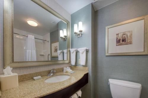 a bathroom with a sink and a toilet and a mirror at Hilton Garden Inn Durham Southpoint in Durham