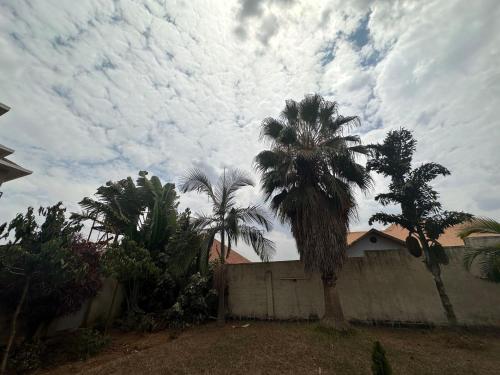 a palm tree in front of a white fence at Deer Hotel in Kigali