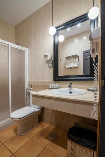 a bathroom with a sink and a toilet and a mirror at Hotel El Coto De Quevedo in Torre de Juan Abad