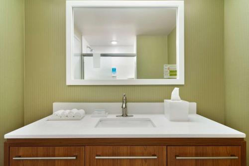 a bathroom with a sink and a mirror at Home2 Suites by Hilton Roanoke in Roanoke