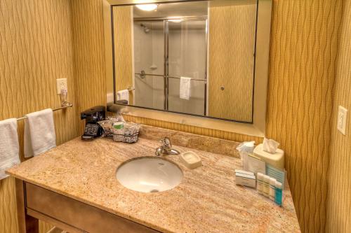 a bathroom counter with a sink and a mirror at Hampton Inn & Suites Rochester/Henrietta in Rochester