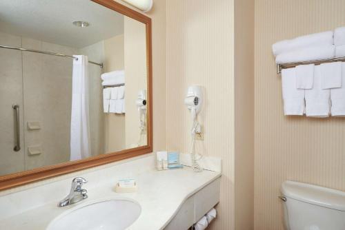 a bathroom with a sink and a mirror and a toilet at Hampton Inn & Suites Roswell in Roswell