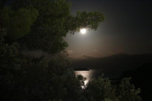 a moon rising over a body of water at night at Holiday Hvar in Vrbanj