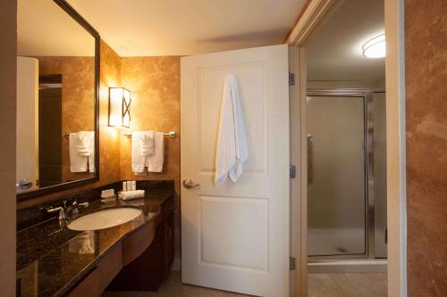 a bathroom with a sink and a shower and a mirror at Homewood Suites by Hilton San Antonio North in San Antonio