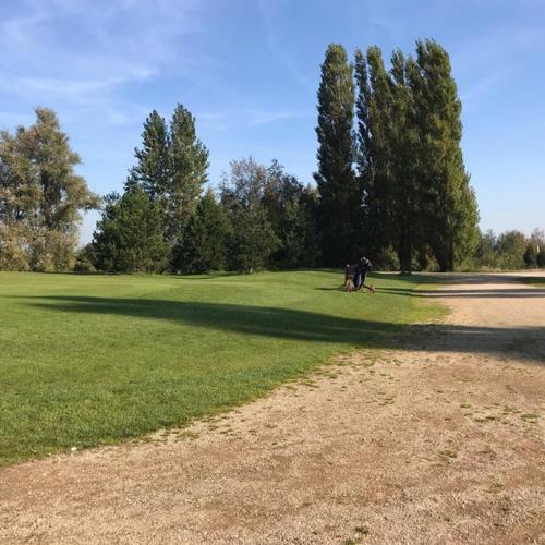 dos personas paseando a un perro en un campo en Golfbaan om de hoek!, en Nieuwveen