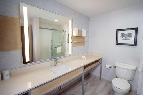 a bathroom with a sink and a toilet and a mirror at Hilton Garden Inn South Bend in South Bend