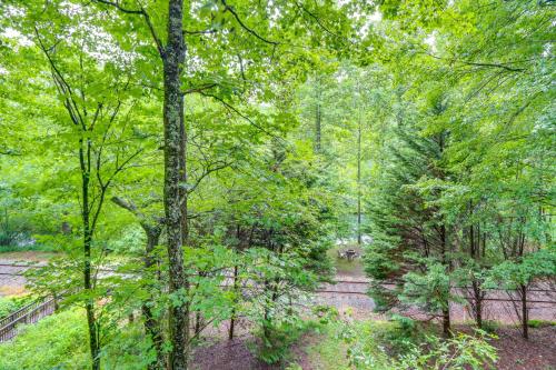a path through a forest with trees and a bridge at Deer Haven Cabin 5 Mi to Dtwn Blue Ridge! in Blue Ridge