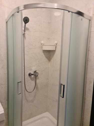 eine Dusche mit Glastür im Bad in der Unterkunft Iva&Niki Ledine in Belgrad