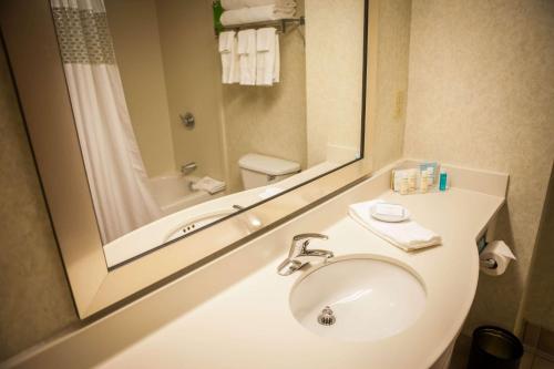 a bathroom with a sink and a large mirror at Hampton Inn & Suites, Springfield SW in Springfield