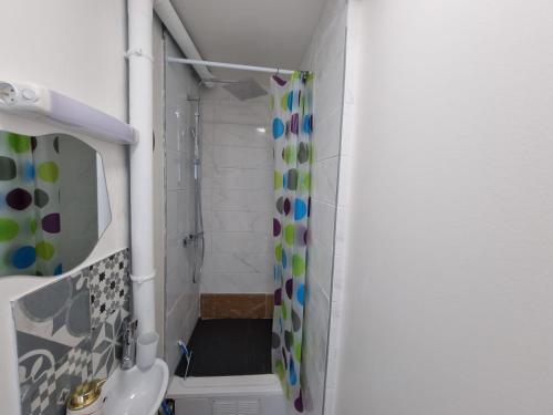 a bathroom with a shower with a shower curtain at Persan Studio avec Terrasse in Persan