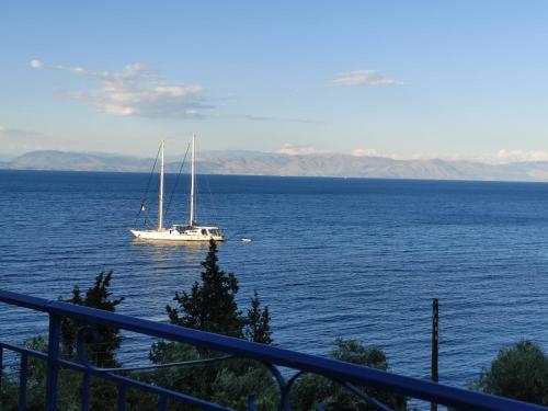 Blue and white apartments 3