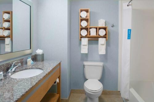 a bathroom with a toilet and a sink and a mirror at Hampton Inn & Suites Sarasota / Bradenton - Airport in Sarasota