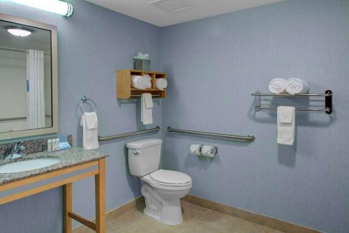 a bathroom with a toilet and a sink at Hampton Inn & Suites Sarasota / Bradenton - Airport in Sarasota