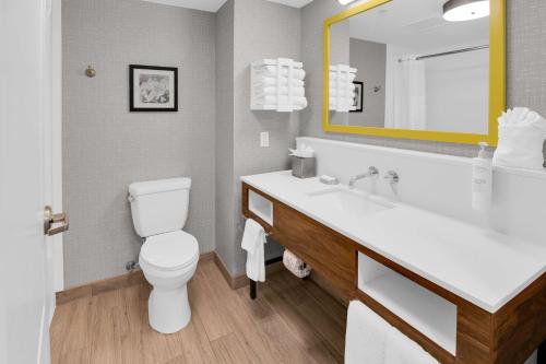 a bathroom with a toilet and a sink with a mirror at Hampton Inn & Suites Sarasota / Bradenton - Airport in Sarasota