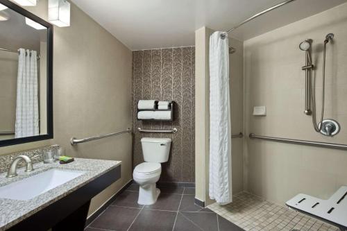 uma casa de banho com um WC, um lavatório e um chuveiro em Embassy Suites by Hilton St Louis Airport em Bridgeton