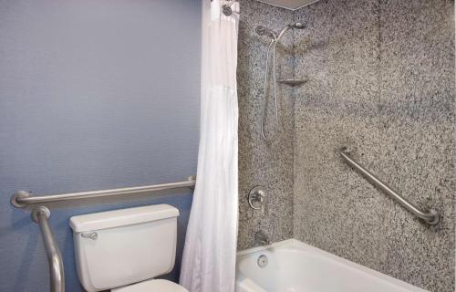 a bathroom with a shower and a toilet and a tub at DoubleTree by Hilton St. Louis at Westport in Maryland Heights