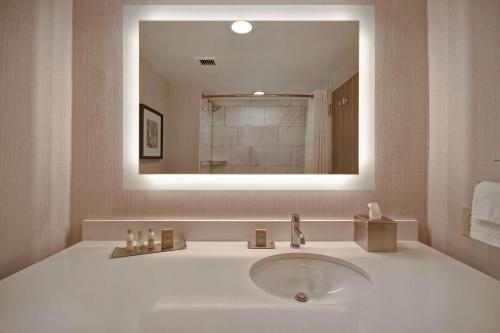 uma casa de banho com um lavatório e um espelho em DoubleTree by Hilton St. Louis Airport, MO em Woodson Terrace