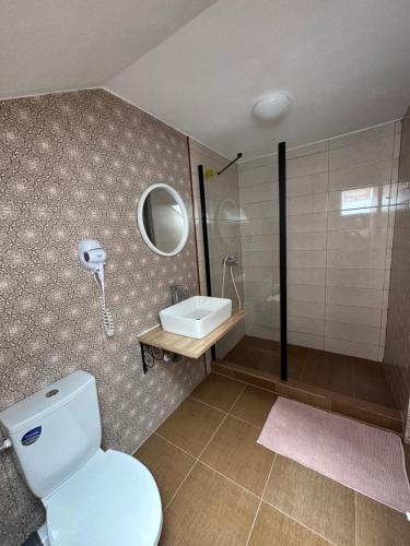 a bathroom with a toilet and a sink and a shower at VILA ANA in Băile Herculane