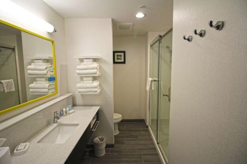 La salle de bains est pourvue d'un lavabo, d'une douche et de toilettes. dans l'établissement Hampton Inn West Plains, à West Plains