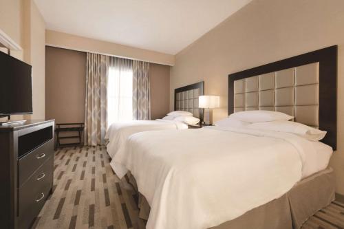 a hotel room with two beds and a television at Embassy Suites by Hilton Tuscaloosa Alabama Downtown in Tuscaloosa